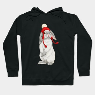 Winter bunny with red booble hat Hoodie